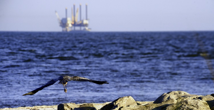 oil rig at a distance in the bay