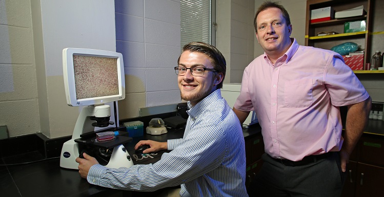 Junior Alex Coley, left, and Dr. Glen Borchert are among a growing number of USA undergraduates and faculty members collaborating on research that crosses disciplines. Coley and Borchert use this microscope to look at pancreatic cancer cells.