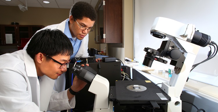 Phiwat Klomkaew, left, a junior chemical engineering major, and Kevin Ingles, a junior math and physics major, will present scientific papers at the 94th Alabama Academy of Sciences annual meeting. 