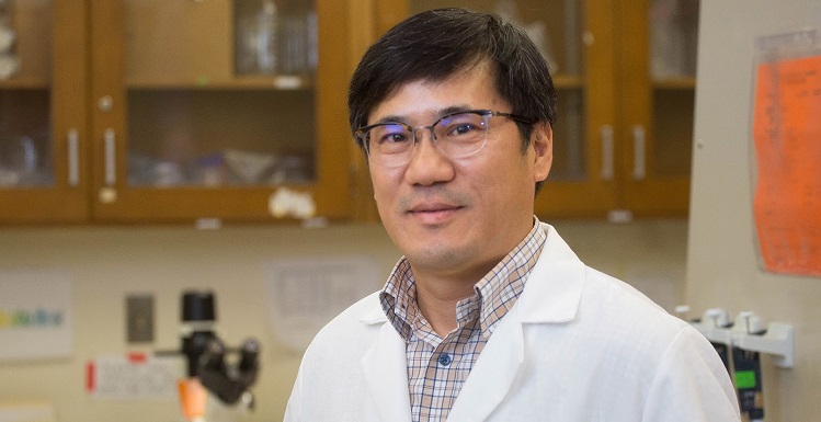Dr. Steve Lim, assistant professor of biochemistry and molecular biology at the College of Medicine, said he hopes his research will advance current atherosclerosis therapies from preventative to treatable. data-lightbox='featured'