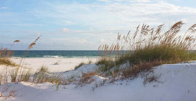 beach scene