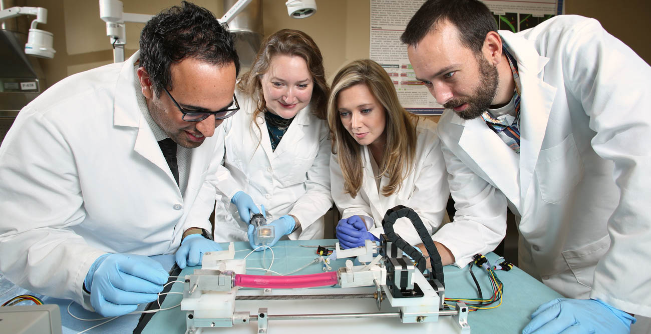 Dr. Saami Yazdani, associate professor of mechanical engineering, feeds a balloon catheter through a pig artery with, from left, Claire Cawthon and Kathryn Cooper, gap year research assistants, and mechanical engineering major Clifton Huett at Yazdani's lab in the College of Engineering.