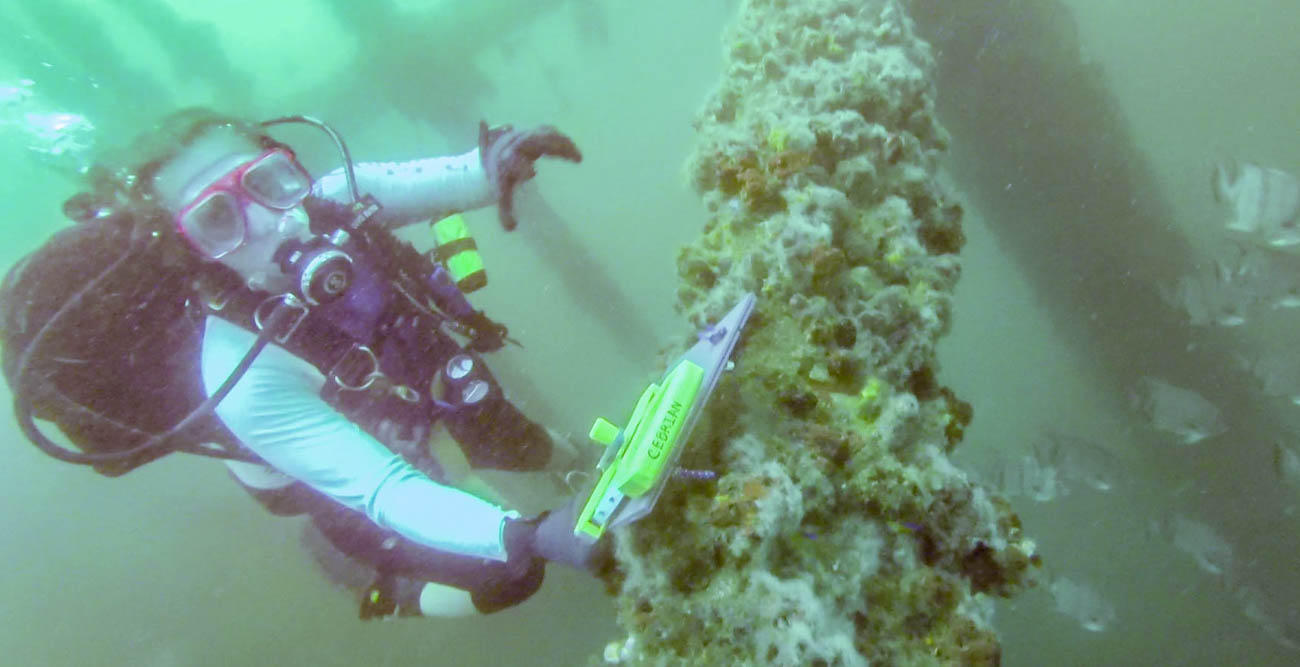 Jessica Gwinn, a Ph.D. student at South, samples herbivorous fish and algae on a rig south of Dauphin Island in July 2018. Gwinn's work was part of an international research project of ciguatera lead by the University of South Alabama.