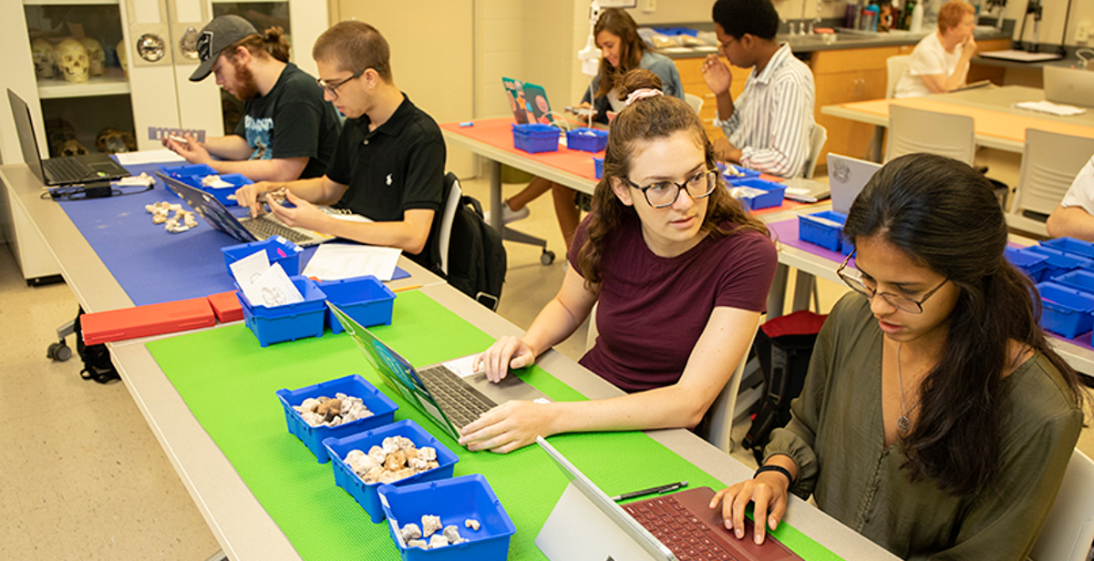 Participants in a summer forum, financed by a $293,914 National Science Foundation REU grant, study pieces of a skull loaned to Dr. Lesley Gregoricak, associate professor of anthropology at South, and Dr. Jamie Ullinger, associate professor of anthropology at Quinnipac University, by the government of the Emirate of Ras al-Khaimah in the UAE. The students collaborate with an interdisciplinary group of dynamic scientists while conducting original research over an eight-week period.