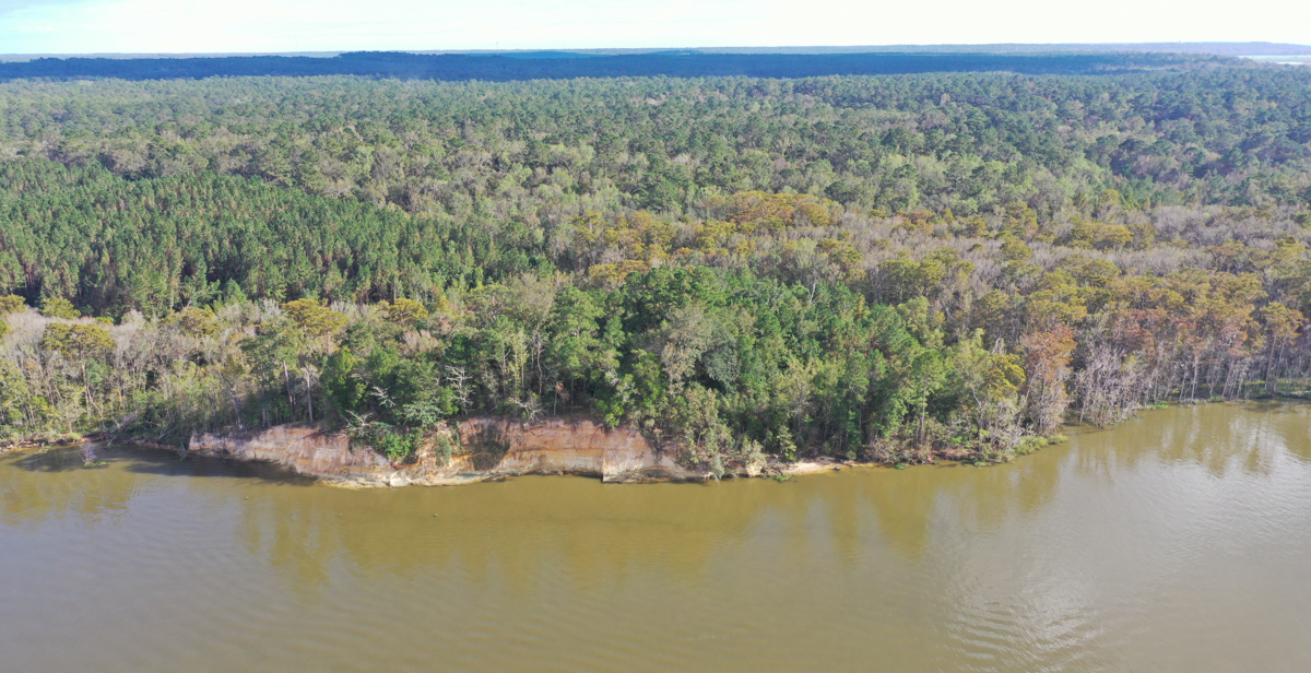 The University of South Alabama holds the easement to 60 acres adjacent to Historic Blakeley State Park along the Tensaw River. The property, in addition to more than 30,000 acres throughout rural Alabama and Mississippi, can be used by South faculty for research and teaching.