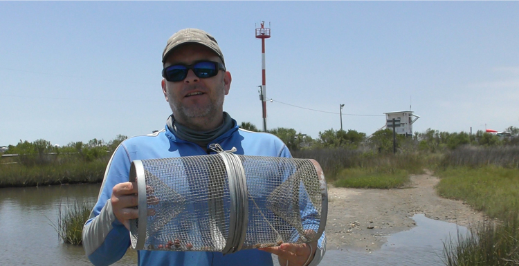 Dr. Ronald Baker, assistant professor in the department of marine sciences co-authored a paper on salt marshes that was published in Science magazine's November 6, 2020 issue. 