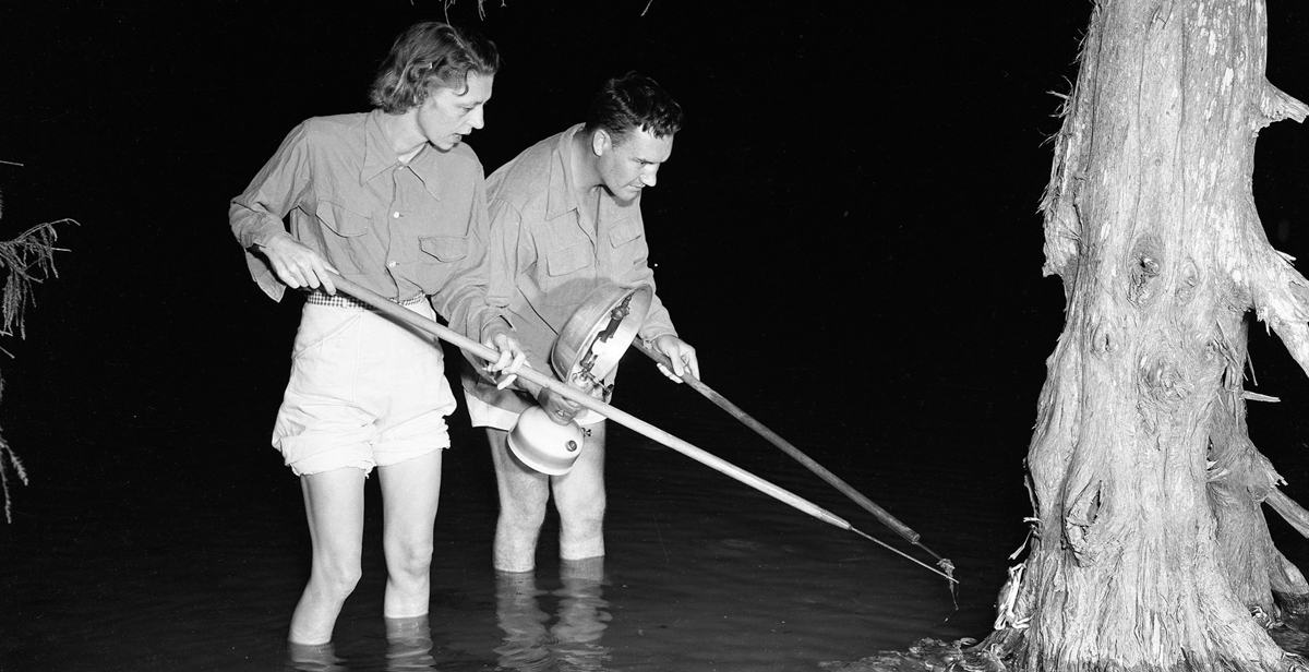 Resident participate in an Eastern Shore Jubilee on Mobile Bay. 