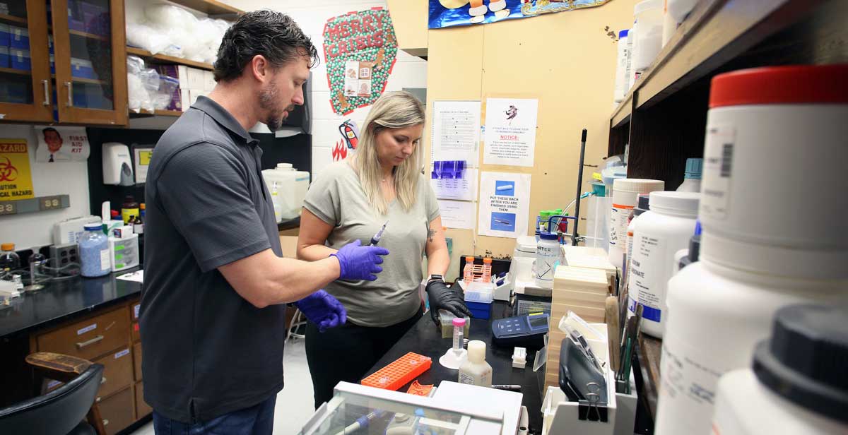 Mike Fletcher and Amber Simpson, a pair of Mobile County public school science teachers, do lab work during a six-week summer program for high school educators at the University of South Alabama.