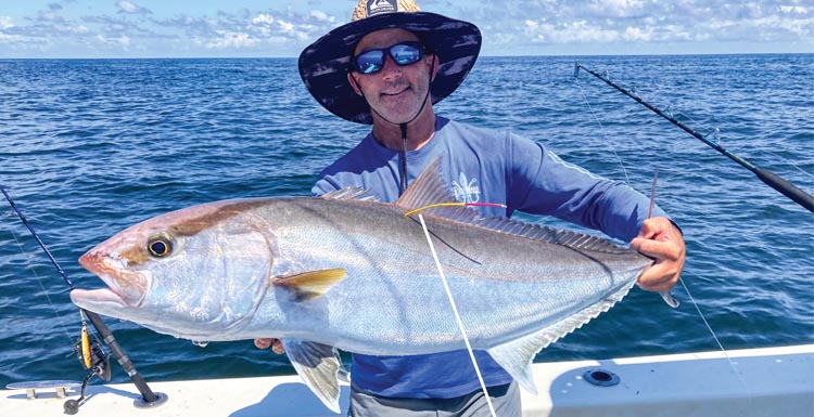 Greater Amberjack Count Greater Amberjack Count