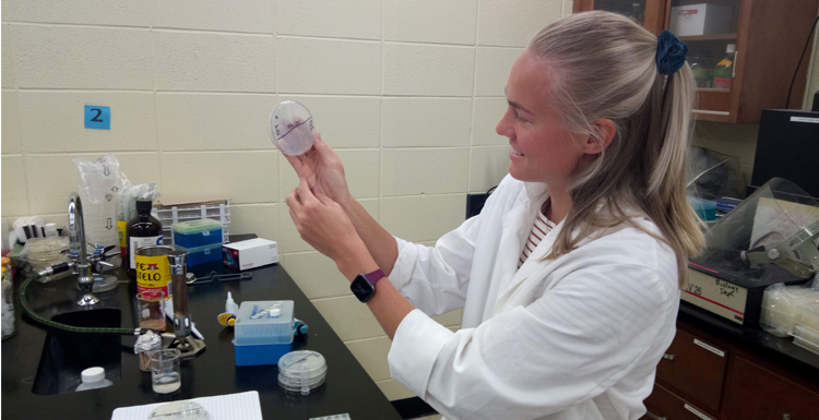 Emilie Berge in her lab at South, has received one of just 12 Zymo Research Impact Initiative grants awarded annually for scientific innovation and potential social impact. Berge received her master's degree in environmental toxicology in May will use the $4000 award to perform transcriptomic analysis of the polyaromatic hydrocarbon degrading bacteria she described in her thesis.