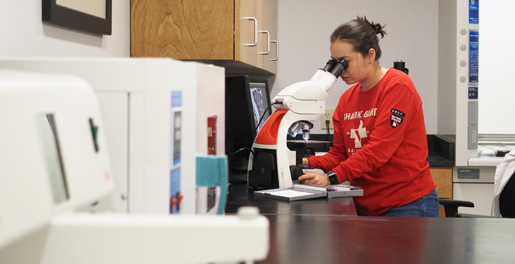 Laia Munoz works in USA Marine Sciences fisheries lab complex