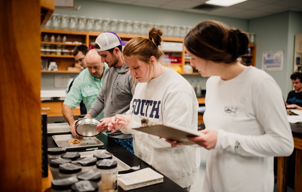 At the Dauphin Island Sea Lab, students identify the shrimp, crabs and fish collected and measure their size and weight.