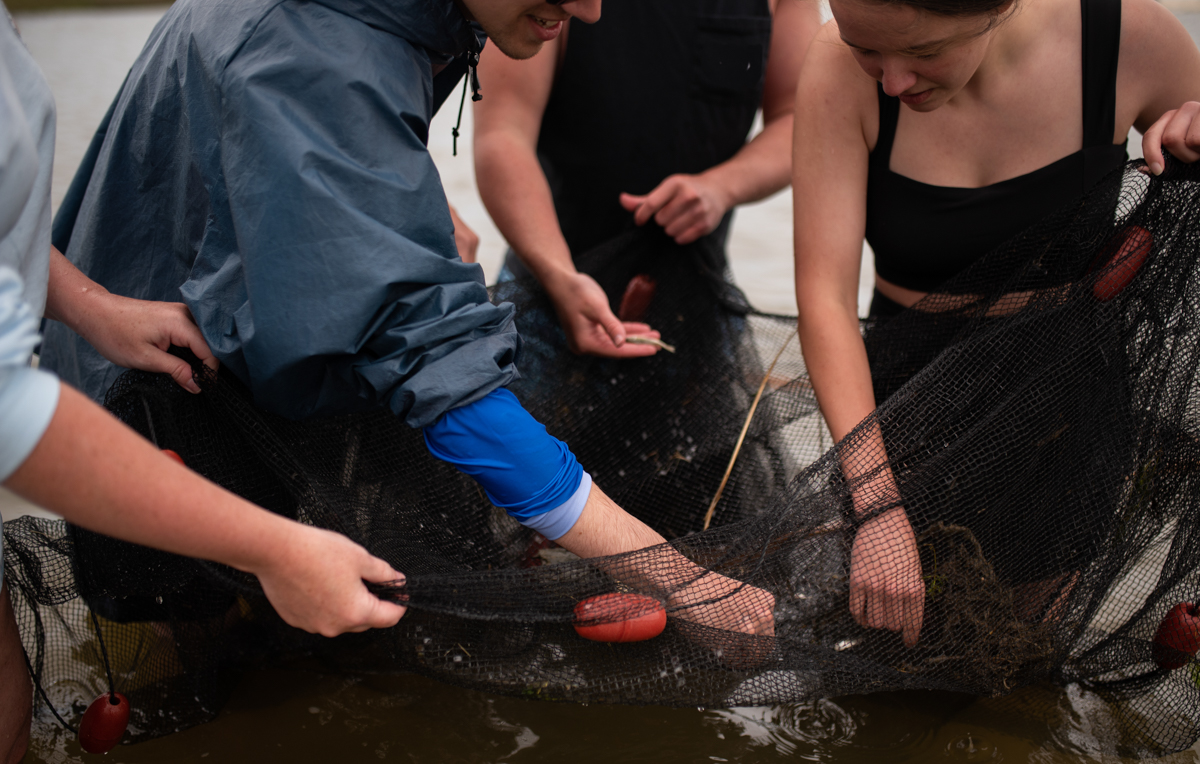 University of South Alabama students collecting marine samples. 