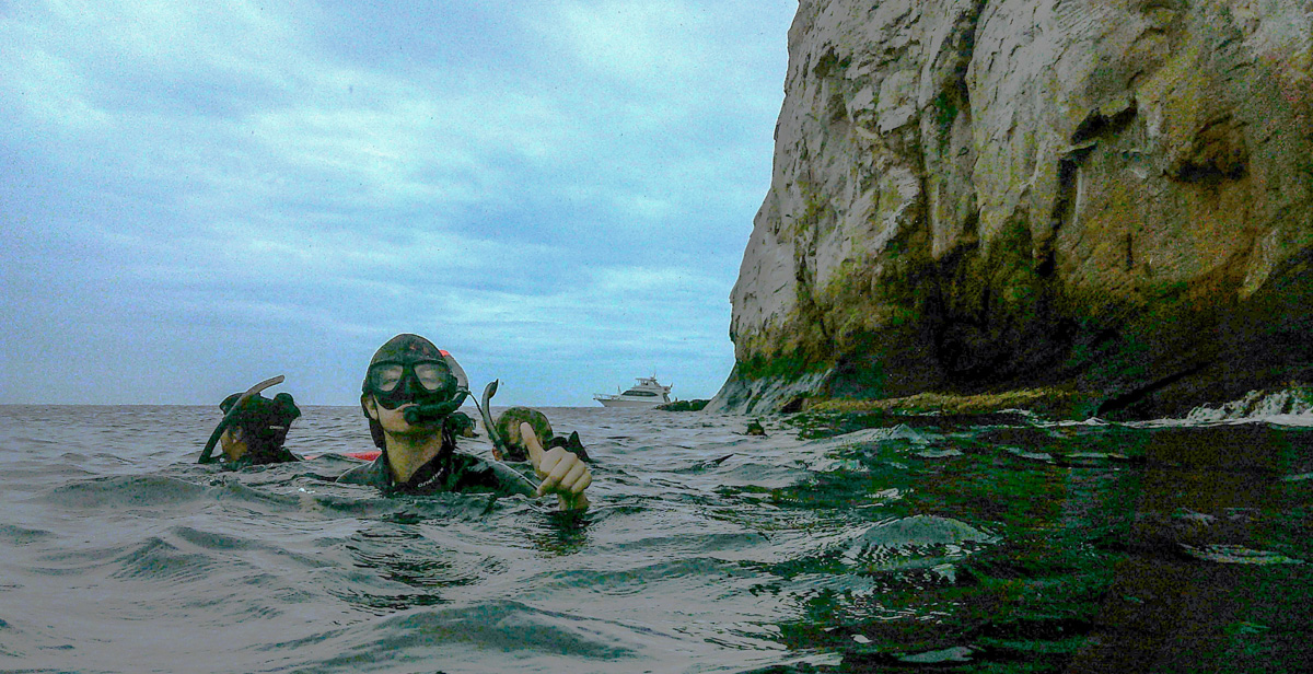 Jade Martin snorkels off the Galapagos Islands, where she saw sea lions, sea turtles and a hammerhead shark. She visited the islands this spring on a research trip.