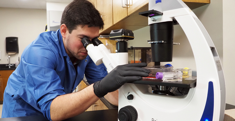 Student in Stokes School of Marine & Environmental Sciences department examines sample under microscope.