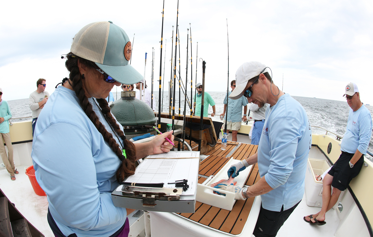 University of South Alabama graduate students and researchers survey red snapper south of Dauphin Island in the summer of 2021. Dr. Sean Powers, director of the Stokes School of Marine and Environmental Sciences, is to the far right.