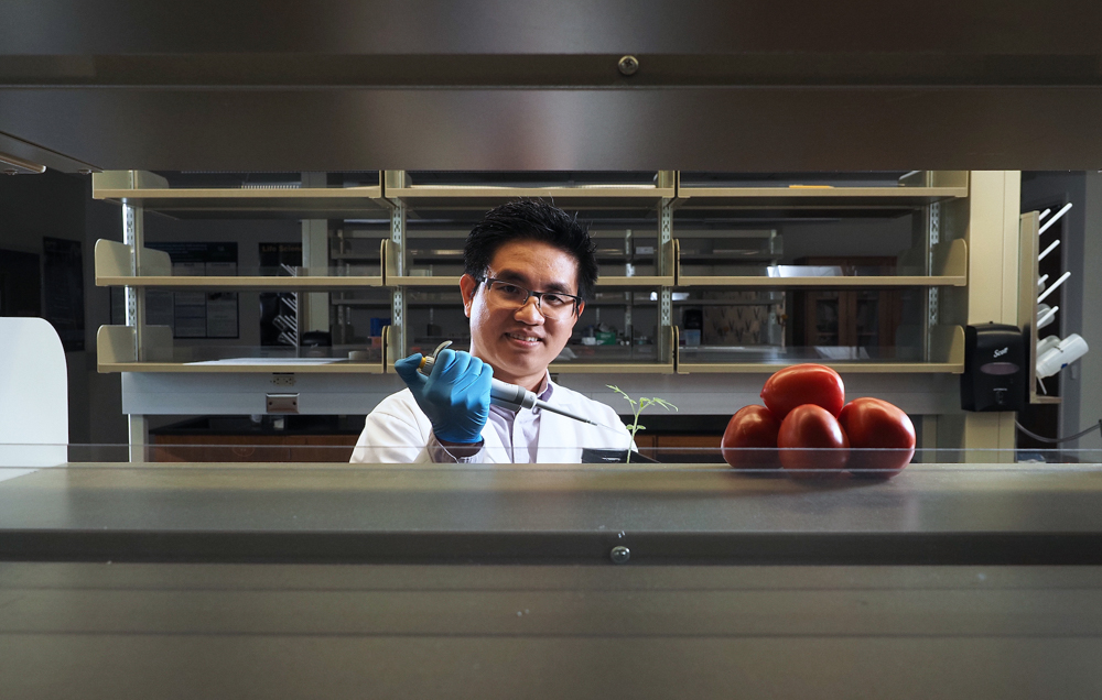 Dr. Tuan Tran, assistant professor of biology at the University of South Alabama, was awarded a $40,000 grant by the USDA and the Alabama Department of Agriculture and Industries to study a soil-based bacterium causes wilt in crops such as tomatoes, peppers and potatoes. 