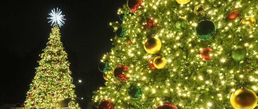 South began a new tradition this year with the lighting of two 32-foot-tall Christmas trees at Student Services Drive and USA South Drive.