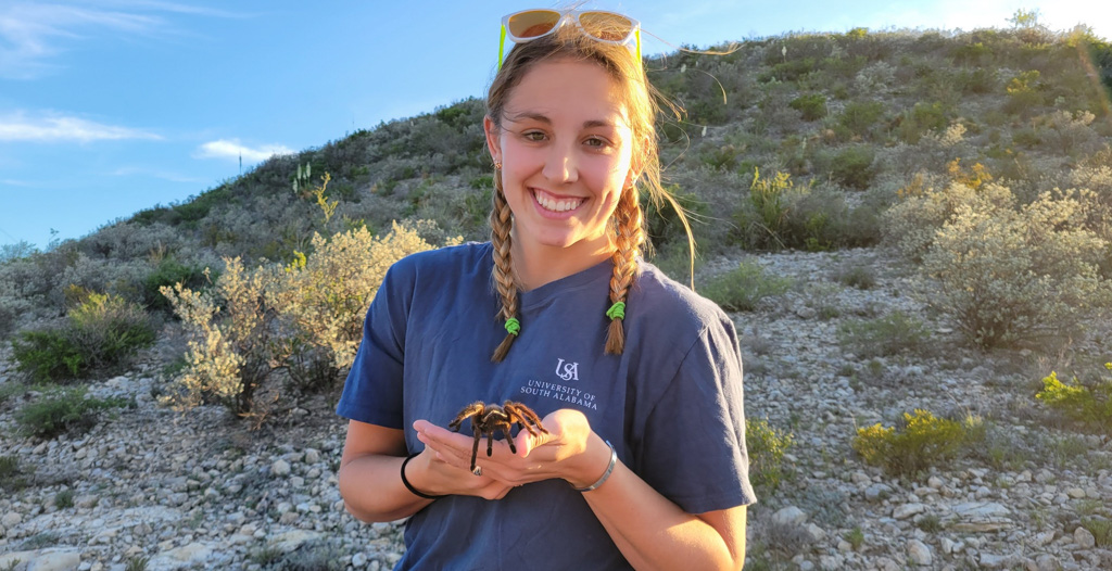 A Passion for Tarantulas