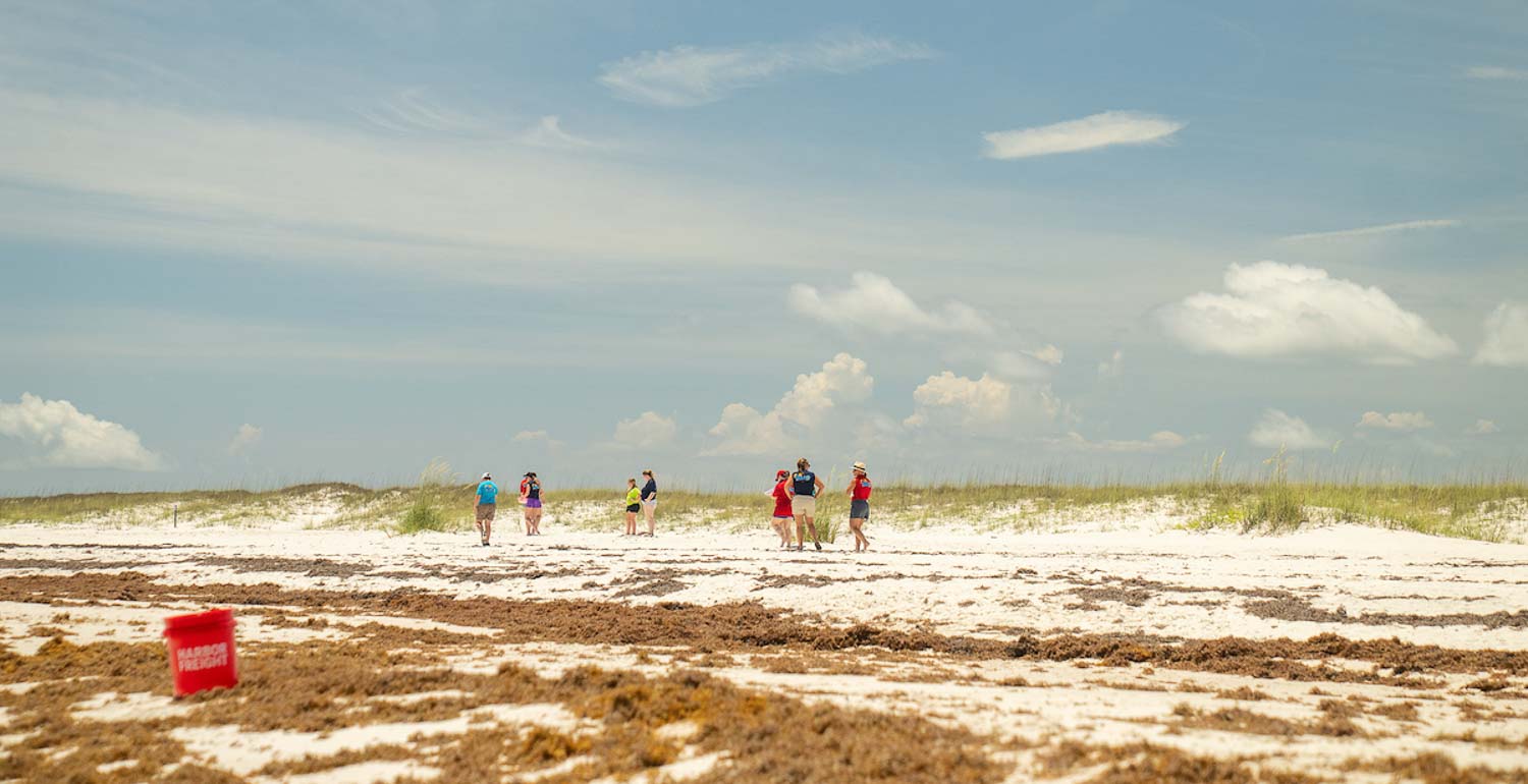 Student walking along the beach in Gulf Shores, participating in Beach Brain.
