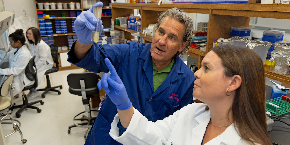 USA Research Explores Link Between Alzheimer