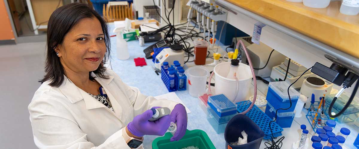 USA Researcher Receives DOD Grant to Study Novel Link Between Obesity and Colorectal Cancer Progression