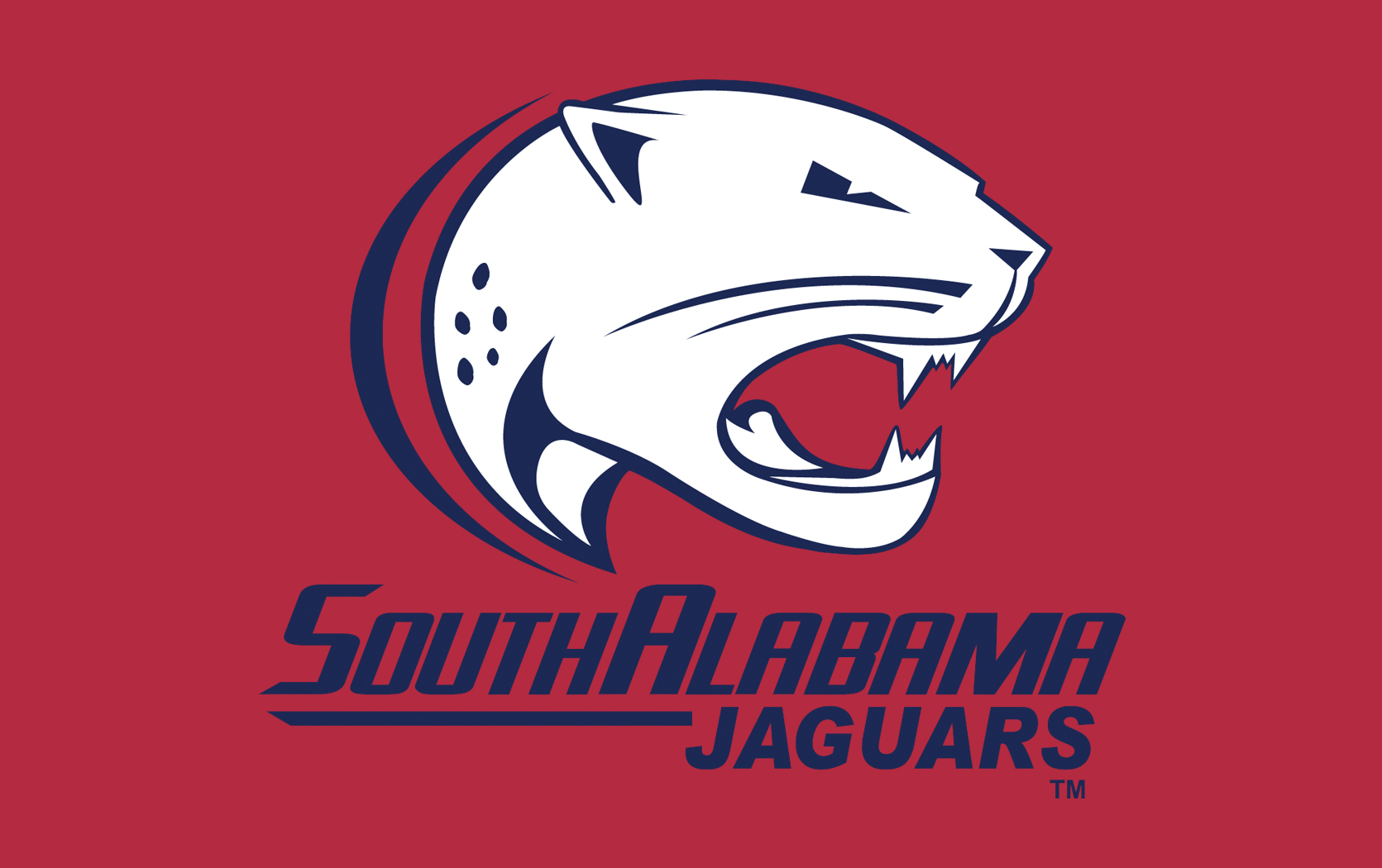 Volleyball v.  Southern Miss
