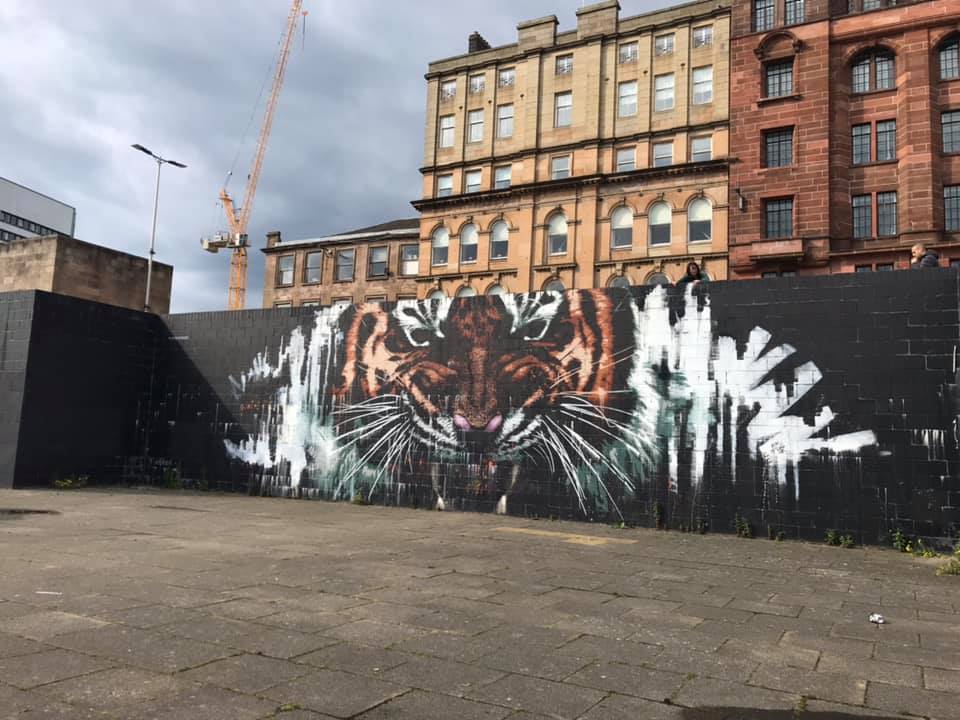 Tiger art on wall in Glasgow
