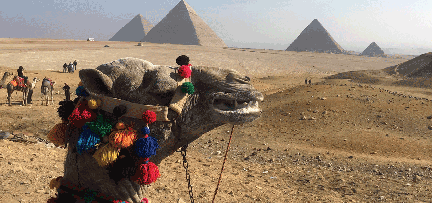 Becky in Egypt and Jordan