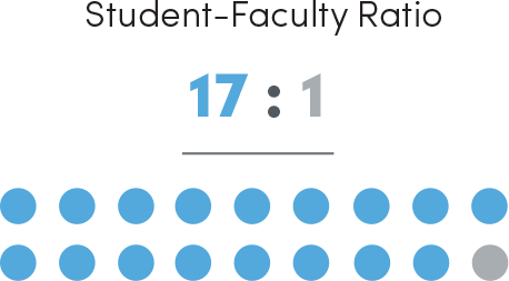 Student-Faculty Ratio 17:1