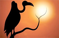 silhouette of stork on a branch
