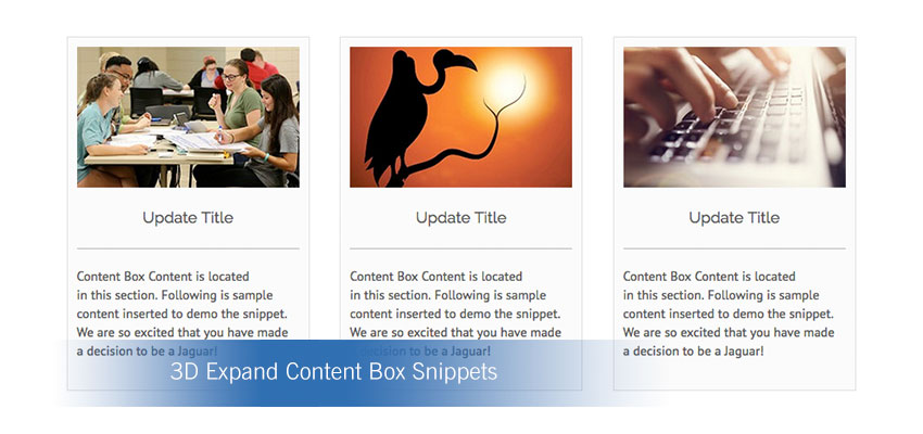 3D Expand Content Box Snippets