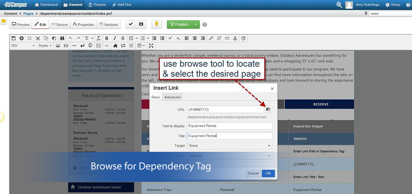 Dependency Tag Screenshot