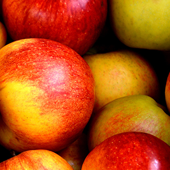 Apples