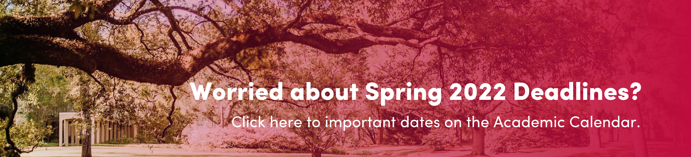 Worried about Spring 2022 Deadlines? Click here to important dates on the Academic Calendar.