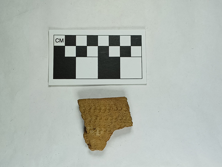 Bayou La Batre Stamped pottery sherd, the oldest artifact found at the Virginia Street Site.