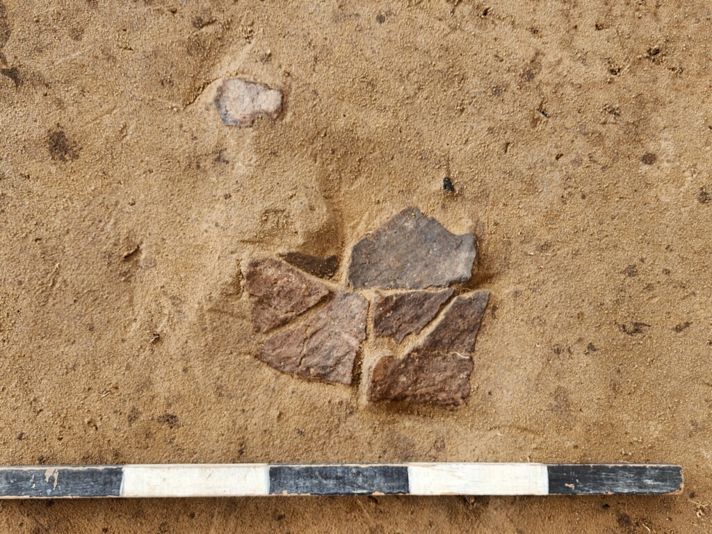 Several pieces of clay pottery with a scale bar