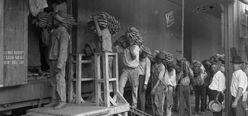 Mobile banana dock workers, 1920s. Courtesy of Erik Overbey Collection, The Doy Leale McCall Rare