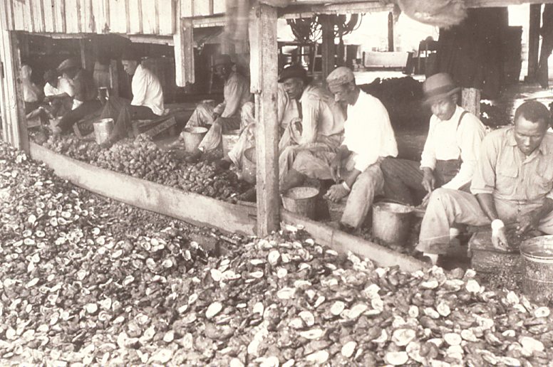 Workers shuck oysters in a black and white photo
