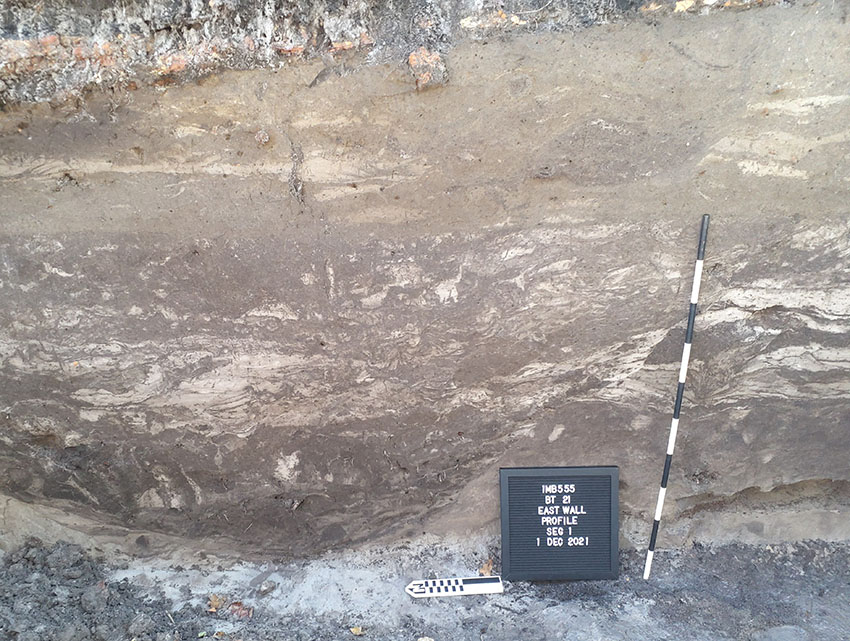 Storm-deposited soils near Mobile Bay.