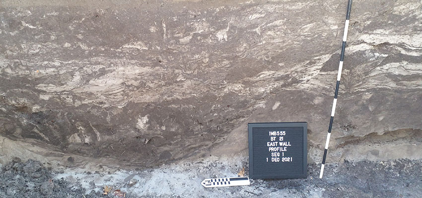 Storm-deposited soils near Mobile Bay.