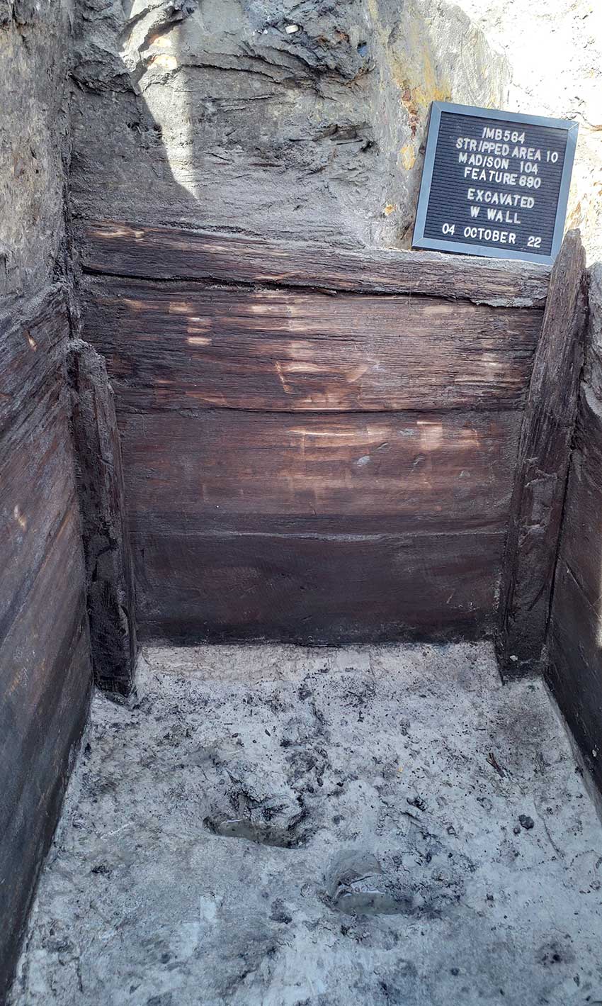 A wood-lined privy (Feature 690) that contained remains of fruits and other foods, including grape, muscadine, blackberry, raspberry, passionflower, peanut shells, chinaberry, cherry/plum, peach, gourd, coffee beans, hickory nut, mango, prickly pear, and grain. Archaeologists can study past diets through these plant remains