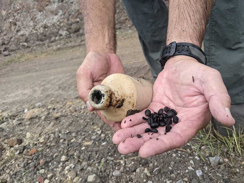 Seeds from South Conception Street