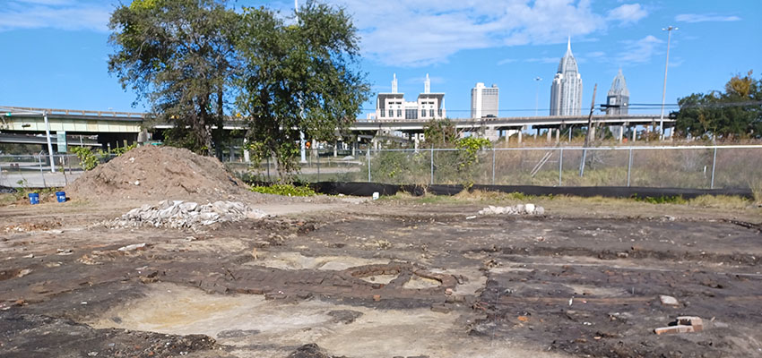 Archaeology in Action: The Palmetto Street Site
