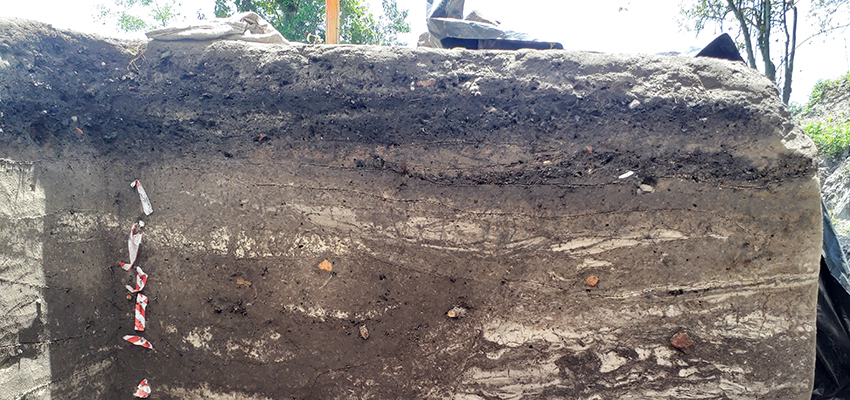 Storm deposits excavated for the I-10 MRB Archaeology Project. Deposits of white sand are mixed with the darker soils, leaving a “swirly” or “wavy” appearance.