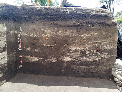 Storm deposits excavated for the I-10 MRB Archaeology Project. Deposits of white sand are mixed with the darker soils, leaving a “swirly” or “wavy” appearance