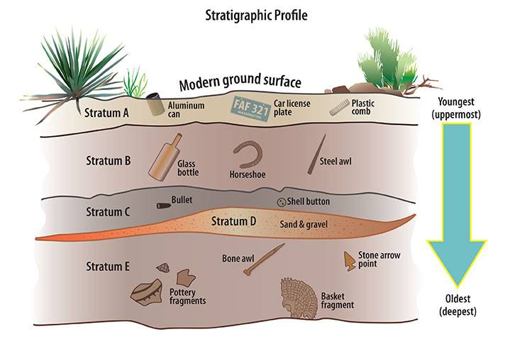 An example of a stratigraphic profile, courtesy of Crow Canyon Archaeological Center.
