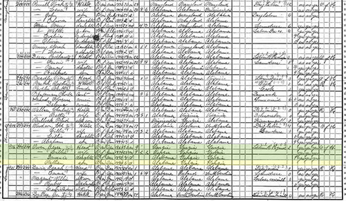1900 US Census records with the Owens Family highlighted in green and yellow. Census courtesy of the National Archives and Records Administration.