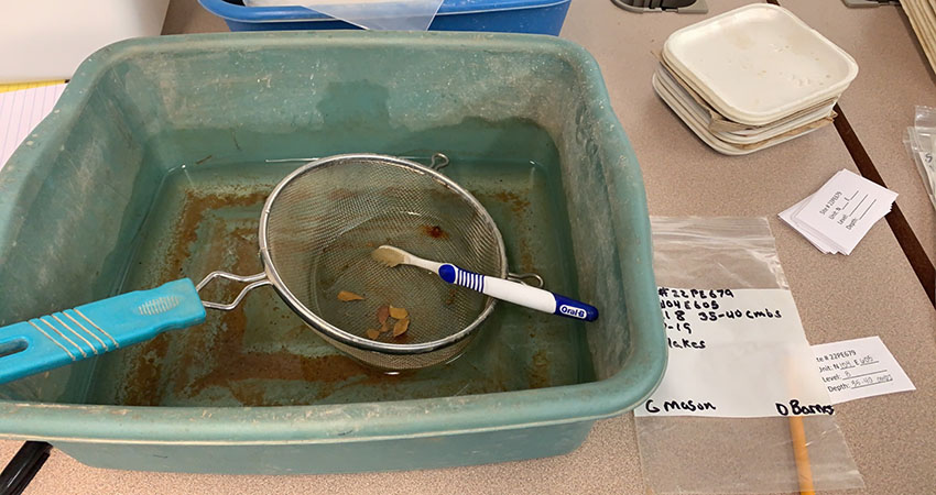 Washing artifacts with a toothbrush and water. A colander is used to make sure artifacts aren’t  lost in the dirty water!