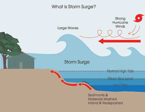 Storm surge activity. Graphic created by Amy Vega.